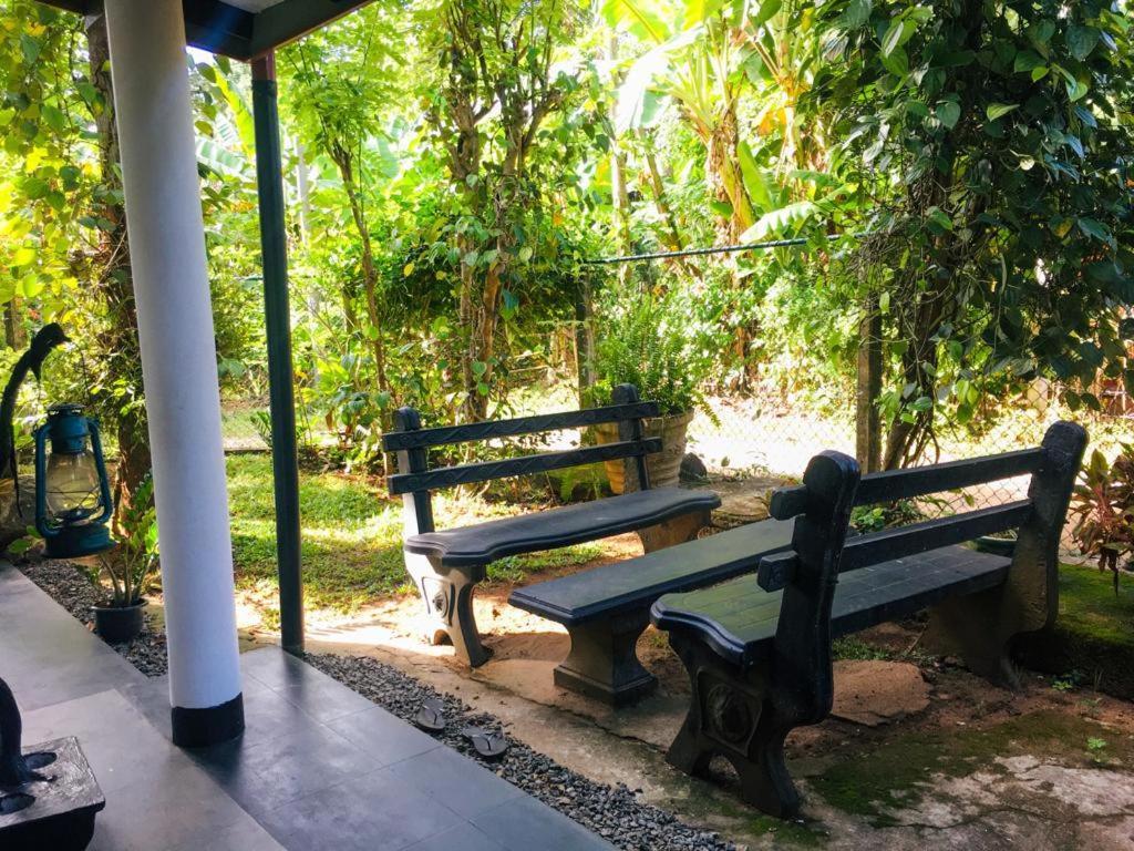 Nature Park Udawalawe Zewnętrze zdjęcie